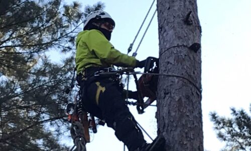 LINE_ALBUM_百花園ゴルフ場　合志市_220214_9